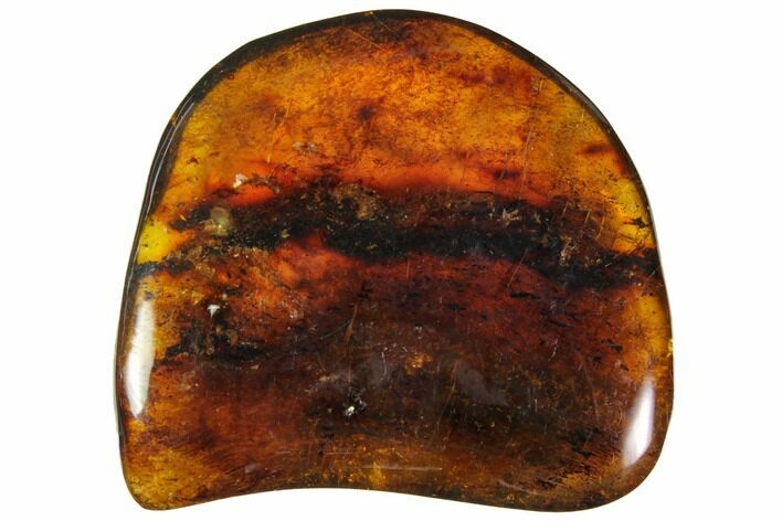 Polished Chiapas Amber ( g) - Mexico #114769